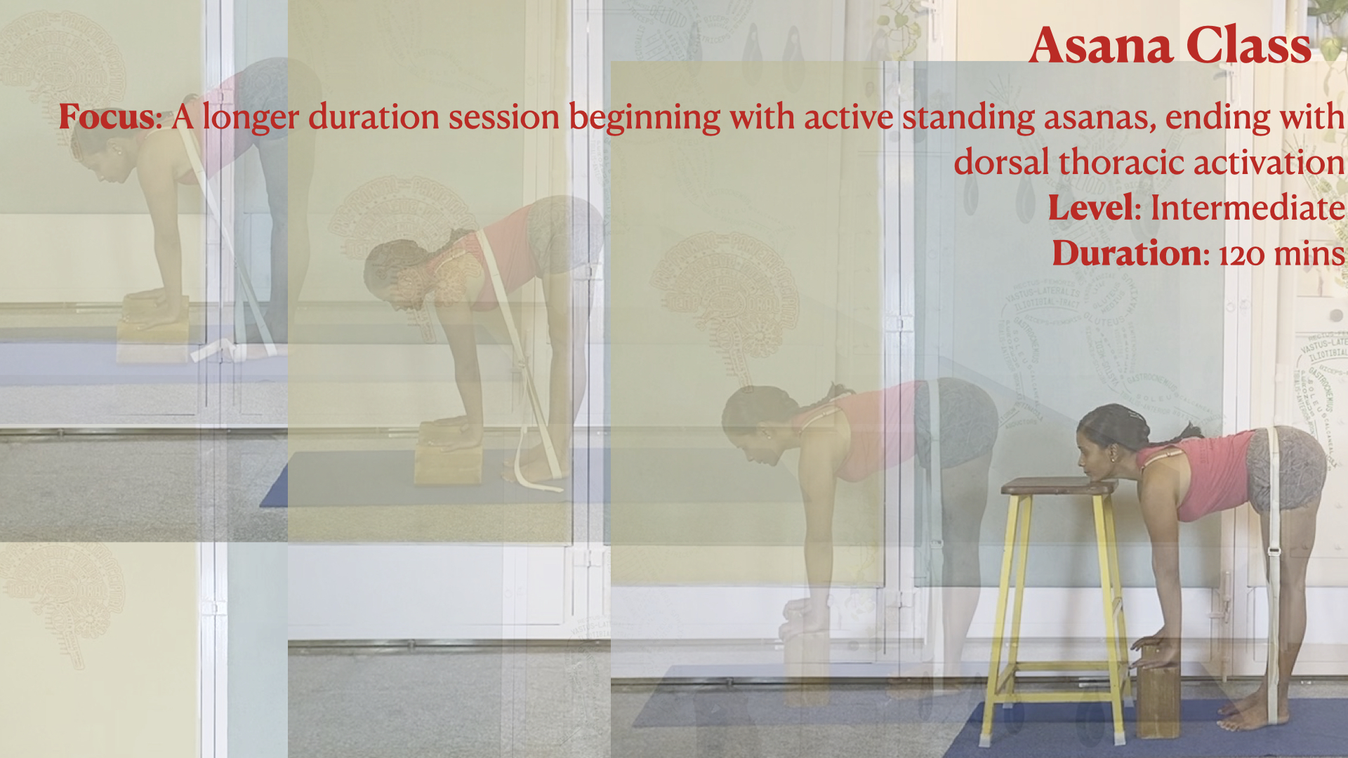 Spinal Segmentation: Working on the 'Concave Back' with Belt