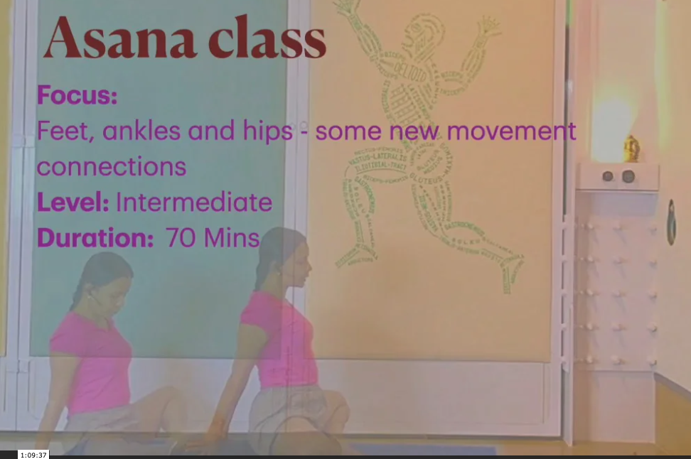 New Movements and Connections for Feet, Ankles and Hips