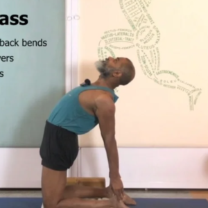 Brisk and Supported - A Gentle Way to Practice Back Arches Part 2