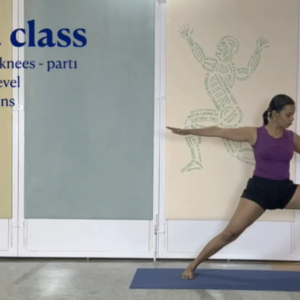 Knee Health Introduction (Warming Practice in first half)