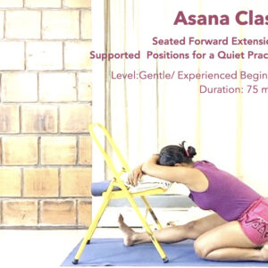 Seated Forward Extensions: Supported Positions for a Quiet Practice