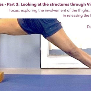 Role of Hips and Thighs for a Healthy Knee - Exploration through Virabhardasana 2