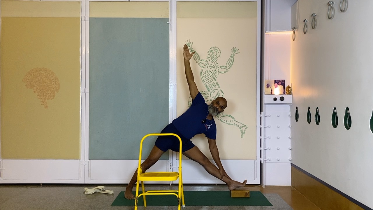 Leveraging Hip Mobility & Soft Groins in Standing Asanas - Image 2