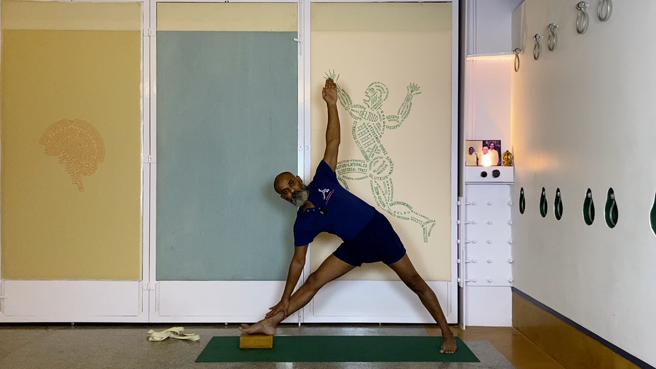 Leveraging Hip Mobility & Soft Groins in Standing Asanas - Image 3