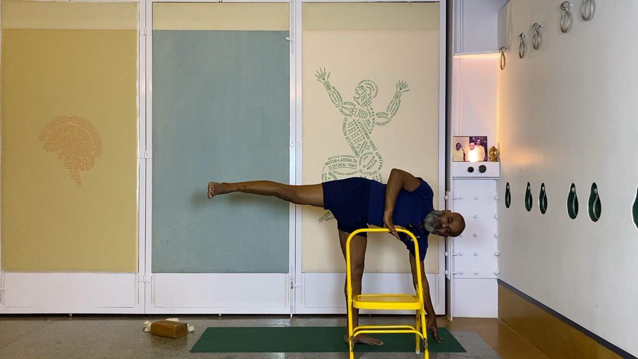 Leveraging Hip Mobility & Soft Groins in Standing Asanas - Image 4