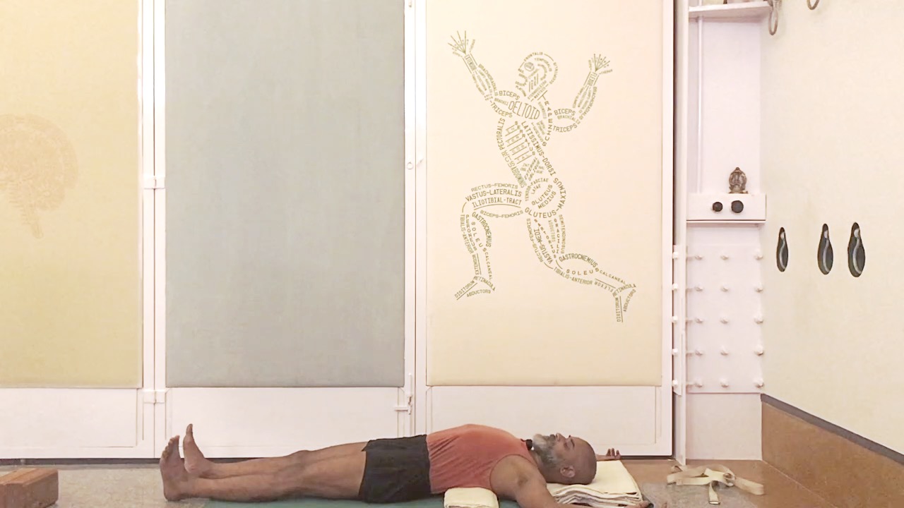 Use of Abdomen in Supported Twists - Image 11