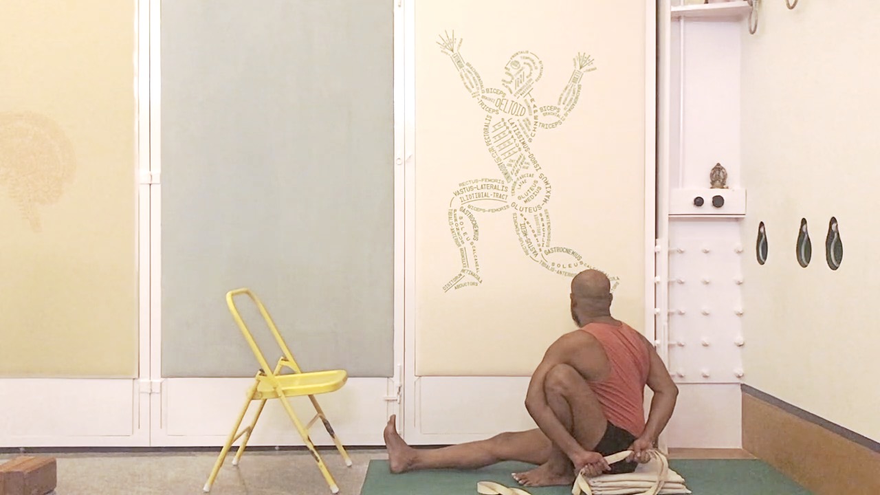 Use of Abdomen in Supported Twists - Image 6