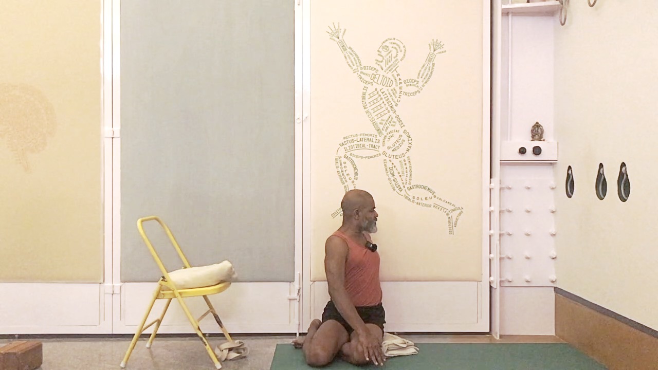 Use of Abdomen in Supported Twists - Image 4