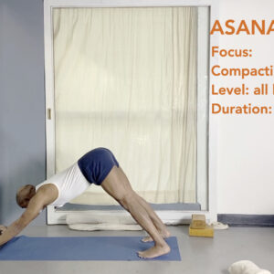 Strengthening the Weak Underbelly of the Arms: The Triceps