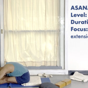 Forward Extensions from Standing to Seated