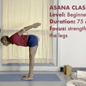 Strengthening Legs from Thighs to Ankles