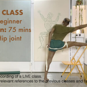 Hip Connection to Back and to Legs