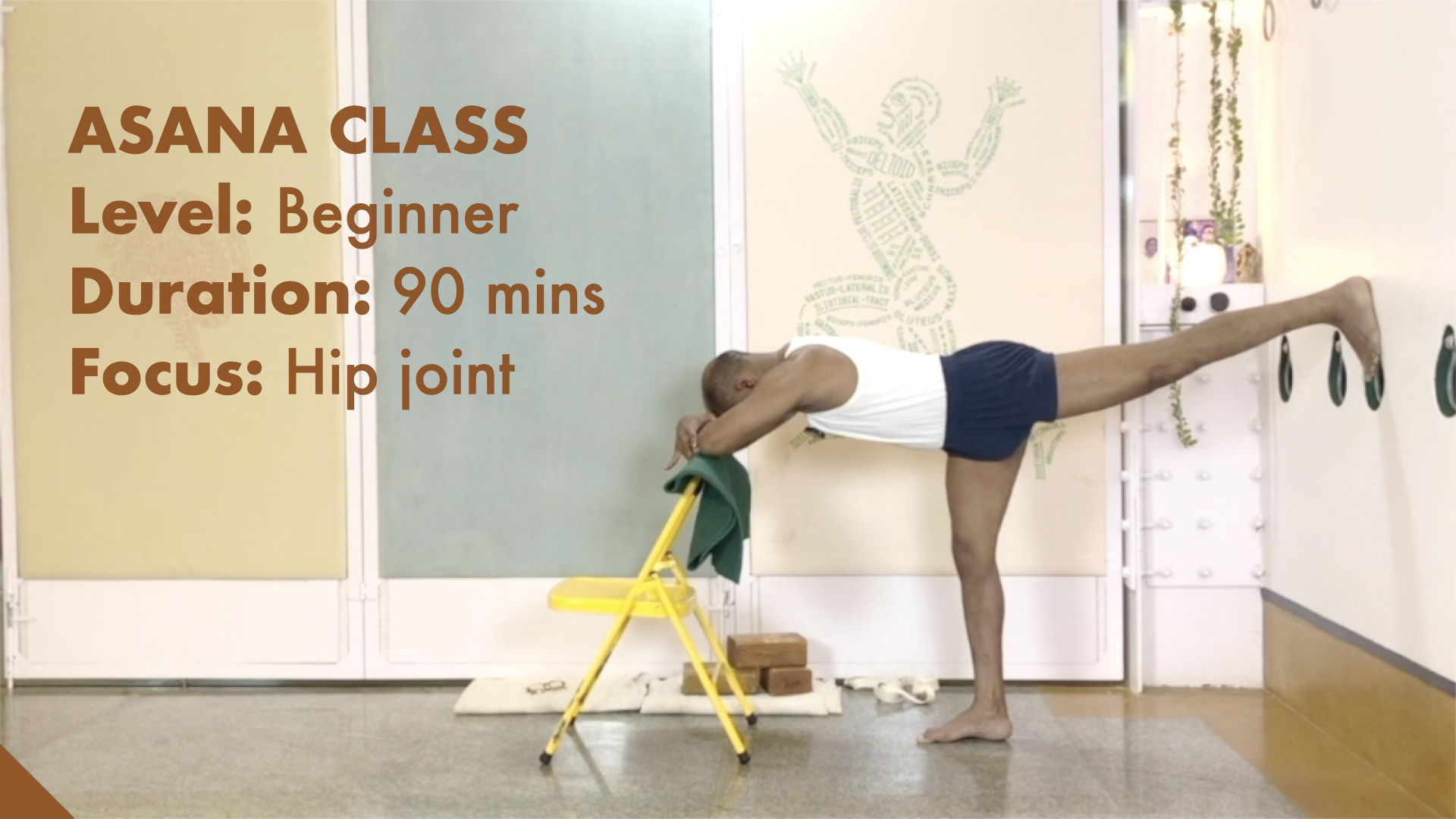 Firm and Mobile Hips: an Overview