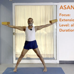 The 'Arm Experience' and the 'Arm Explanation': Anatomical Information and Subjective Knowledge