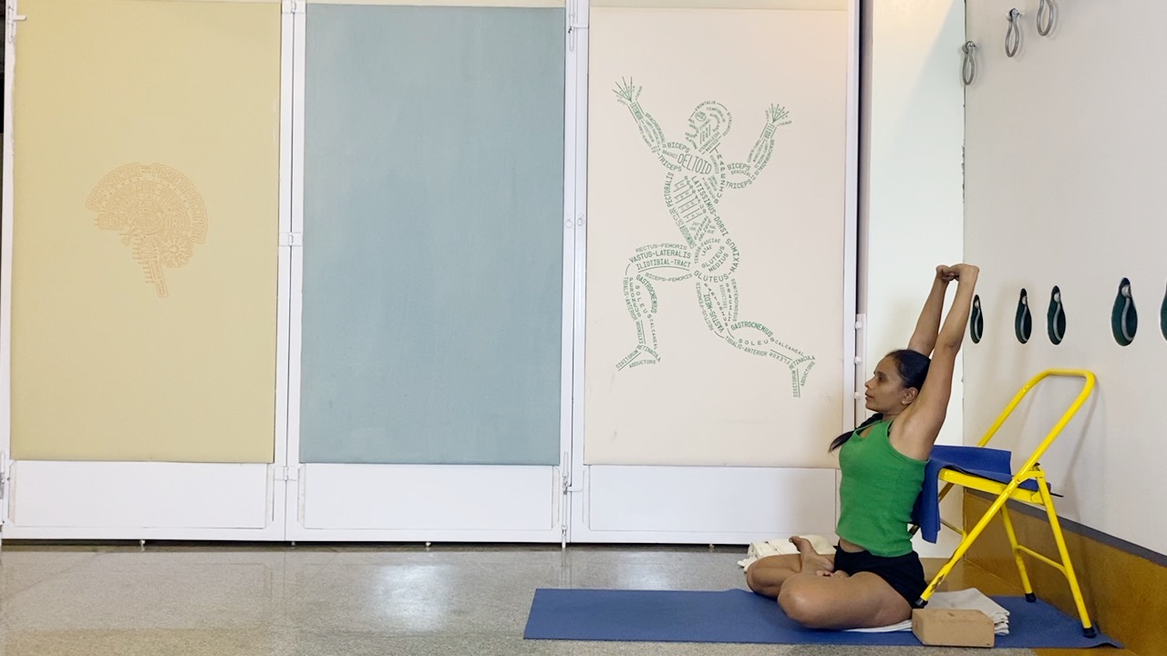 Salamba Sirsasana2: Preparation through Understanding the Shoulders and Shoulderblades - Image 5