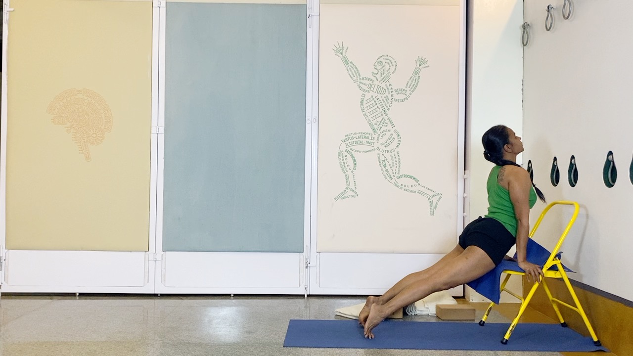 Salamba Sirsasana2: Preparation through Understanding the Shoulders and Shoulderblades - Image 7