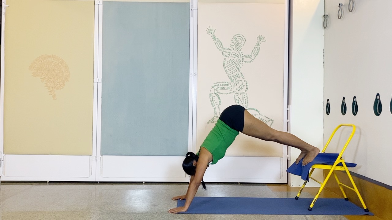 Salamba Sirsasana2: Preparation through Understanding the Shoulders and Shoulderblades - Image 8