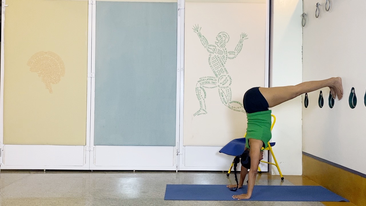 Salamba Sirsasana2: Preparation through Understanding the Shoulders and Shoulderblades - Image 9