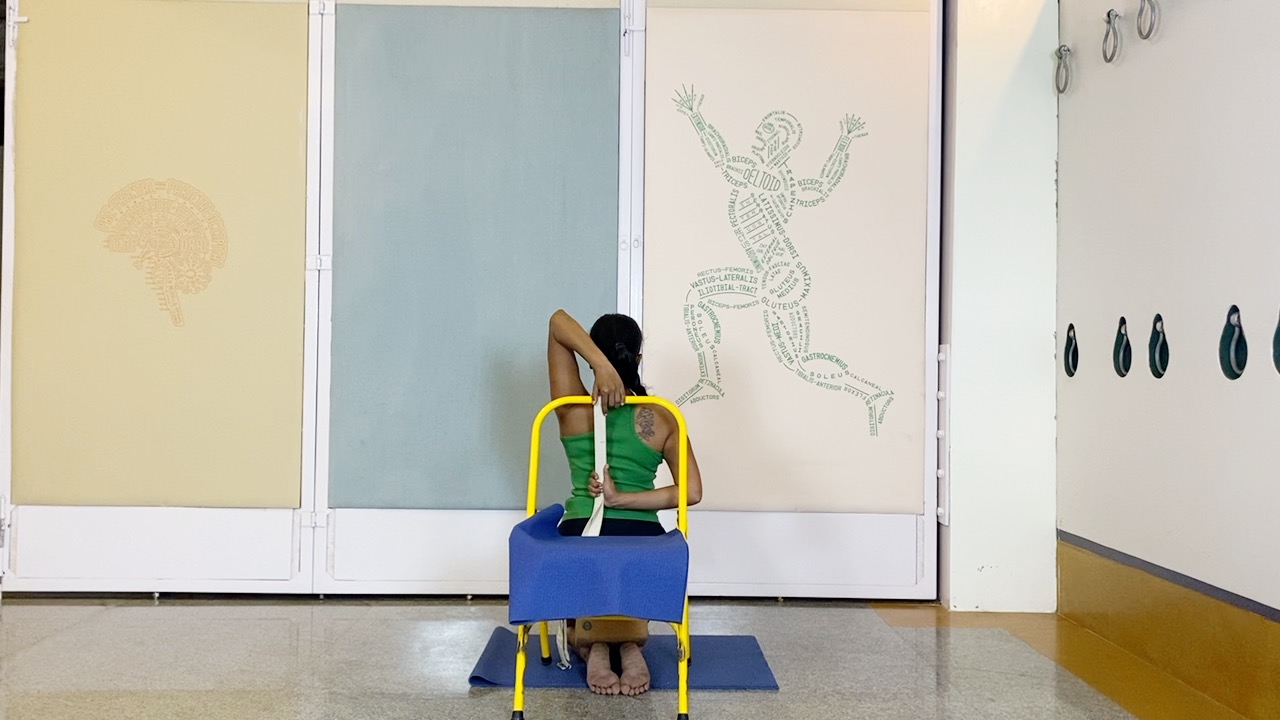 Salamba Sirsasana2: Preparation through Understanding the Shoulders and Shoulderblades - Image 11