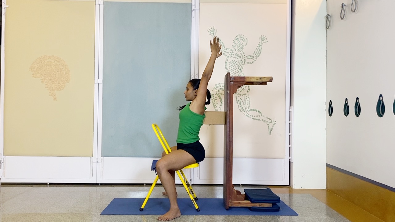 Salamba Sirsasana2: Preparation through Understanding the Shoulders and Shoulderblades - Image 2