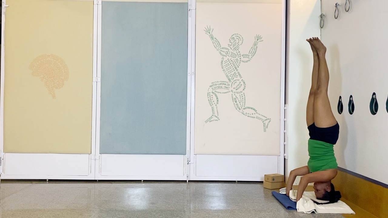 Salamba Sirsasana2: Preparation through Understanding the Shoulders and Shoulderblades - Image 13