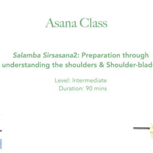 Salamba Sirsasana2: Preparation through Understanding the Shoulders and Shoulderblades