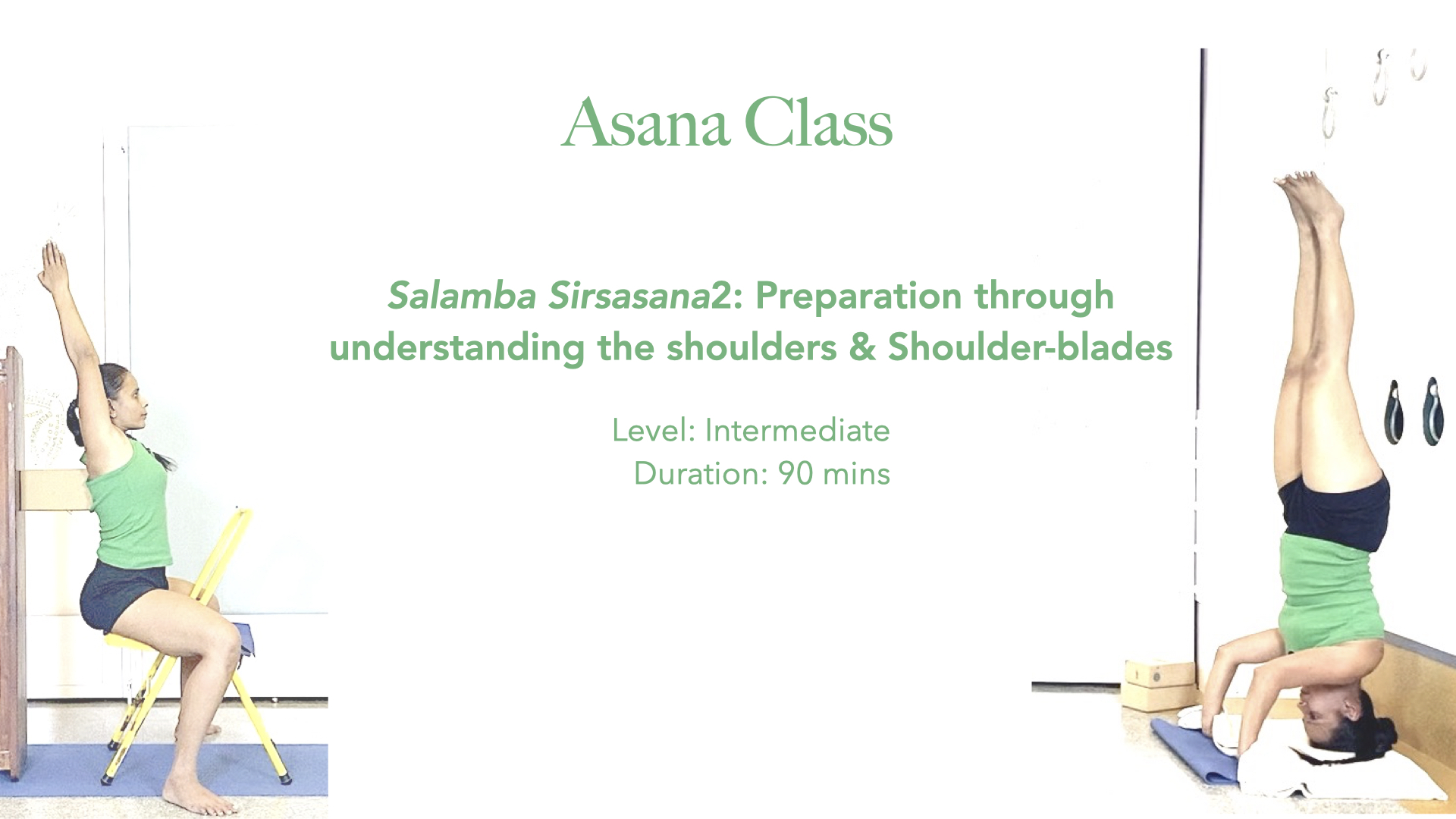 Salamba Sirsasana2: Preparation through Understanding the Shoulders and Shoulderblades