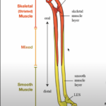 Screenshot 2022-04-22 at 3.36.50 PM