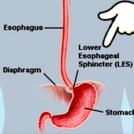 Screenshot 2022-04-23 at 7.05.47 PM