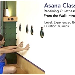 Receiving Quietness and Support from the Wall: Introduction