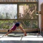 13apr_expbeg_50min_2020_2