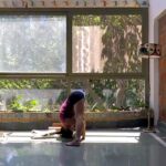 13apr_expbeg_50min_2020_4