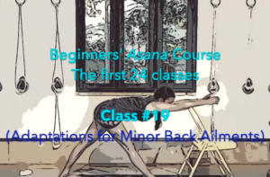 Beg-Course-cl19_23nov2021_dp-e1645650033737-300x197