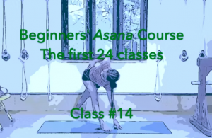 Beg-course-cl14_5nov2021_dp-300x195